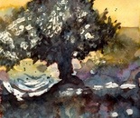 Deepening Shadows