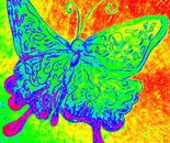 Life with a butterfly Effect