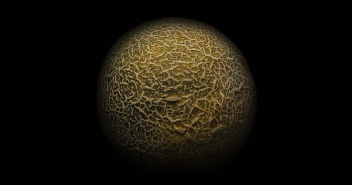 melon