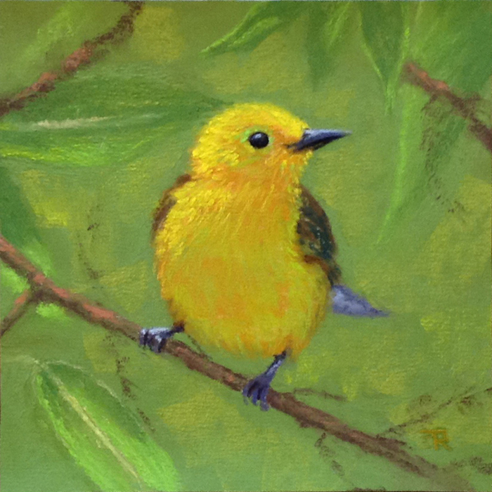 Yellow Warbler