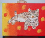 The cat