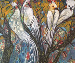 Birds of Paradise.
