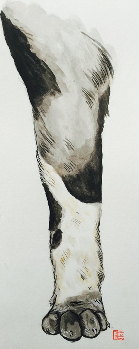 DOG'S LEG
