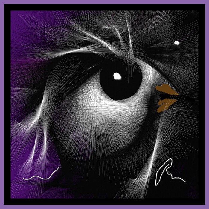 Divided by the eye