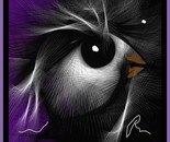 Divided by the eye