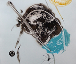 Introspectus 14