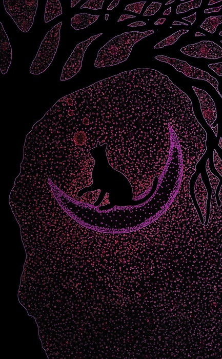 Cat Moon