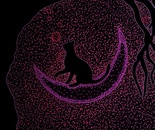 Cat Moon
