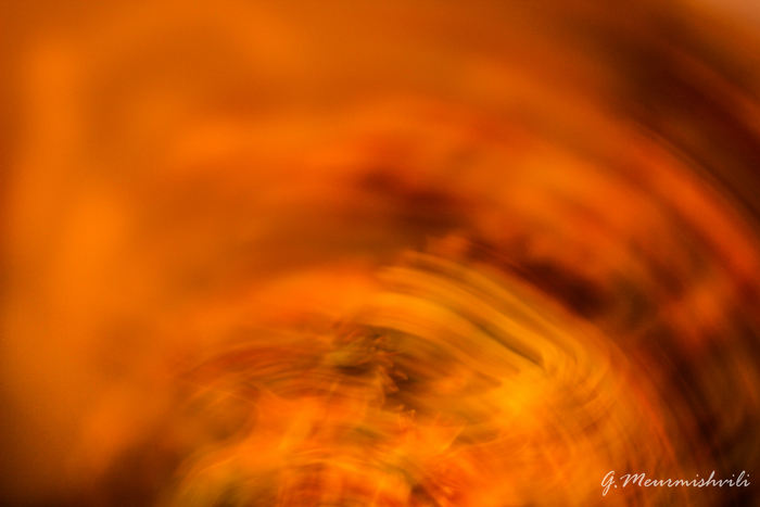 Autumn Color in Abstract