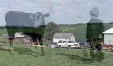 The Farmer's Son