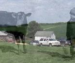The Farmer's Son