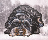Waldi dog - only no hassle 