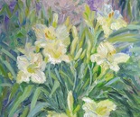 lily