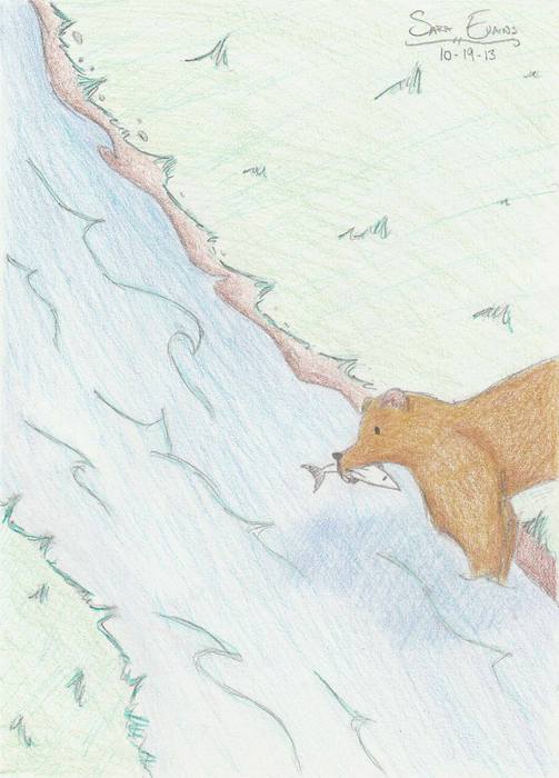 River Bear