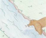 River Bear