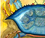 Blue Crab