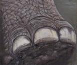Elephant Foot SOLD