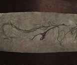 Fragile beginning of life