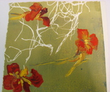 Cress flowers