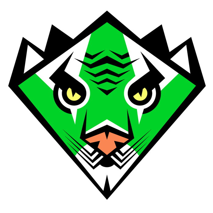 Green Javan Tiger Karate Black Belt Super Hero Badge