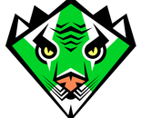 Green Javan Tiger Karate Black Belt Super Hero Badge