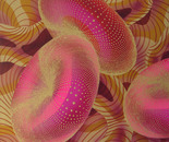Blood Cells
