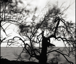 El Vent