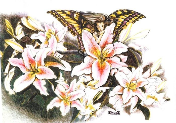 Stargazer Fairy