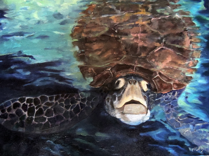 The Turtle