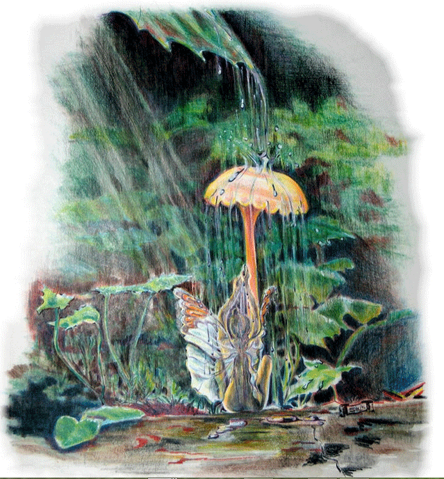 Fairy Shower