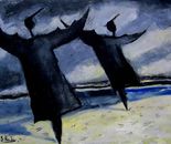 seabirds