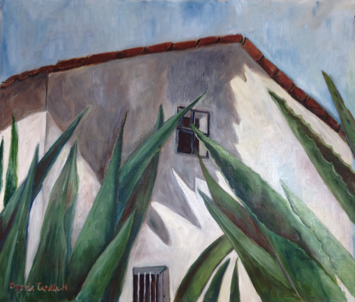 Ventana a los Magueyes