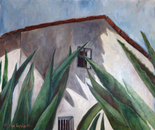 Ventana a los Magueyes