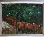 Cattle in the Rain