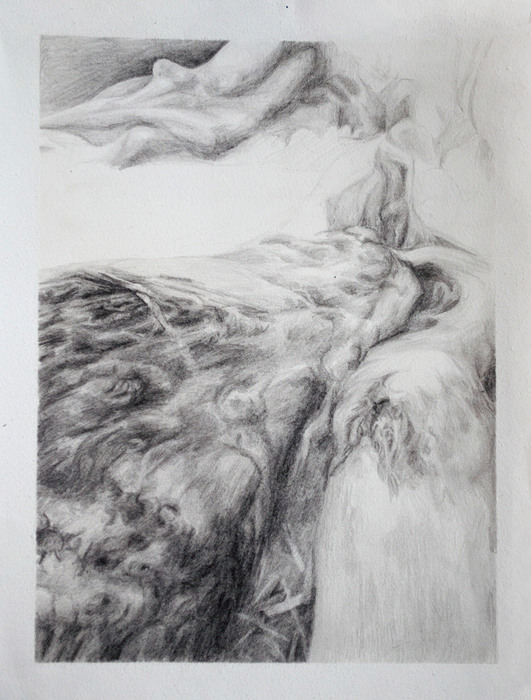 Untitled #5