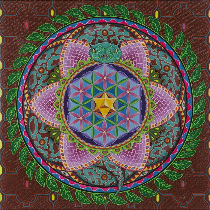 Ayahuasca