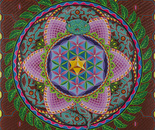 Ayahuasca