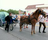 Natalya B. Parris's son Alexander Parris at Damascus Day Parade on July 10, 2015; theme is Disney; Damascus MD