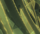 GreenLatticRep18a