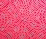 Strawberry Cosmos on Pink Field