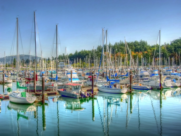 In the Marina