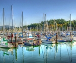 In the Marina