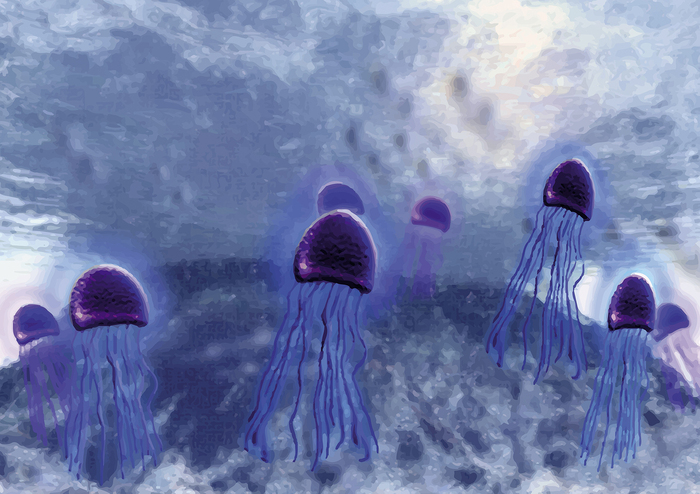 Jelly