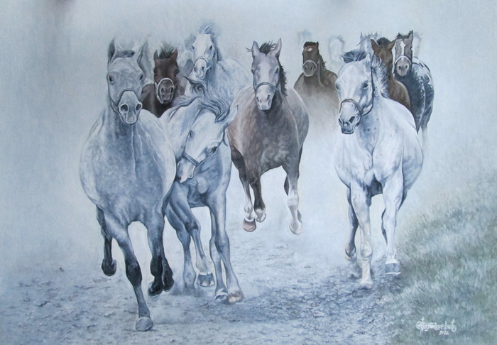 gallop