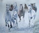 gallop