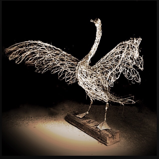 SWAN