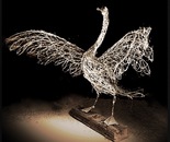 SWAN