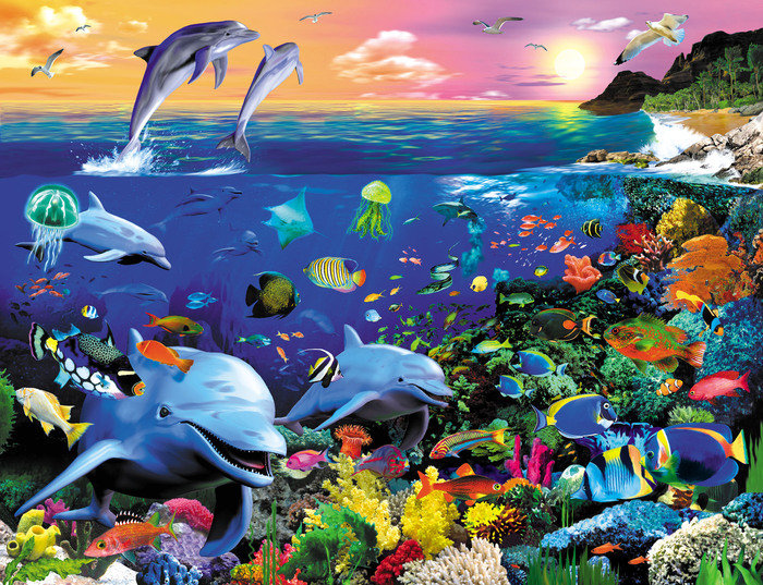 Dolphin Reef