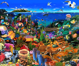 Amazing Coral Reef