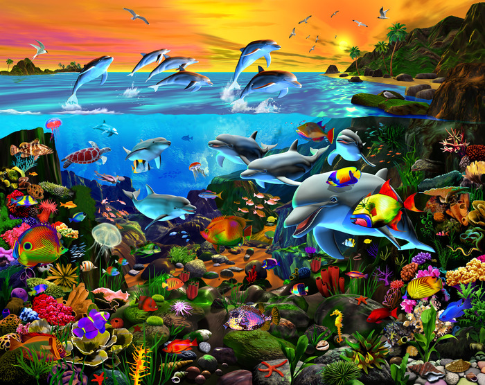 Tropical Island Waters